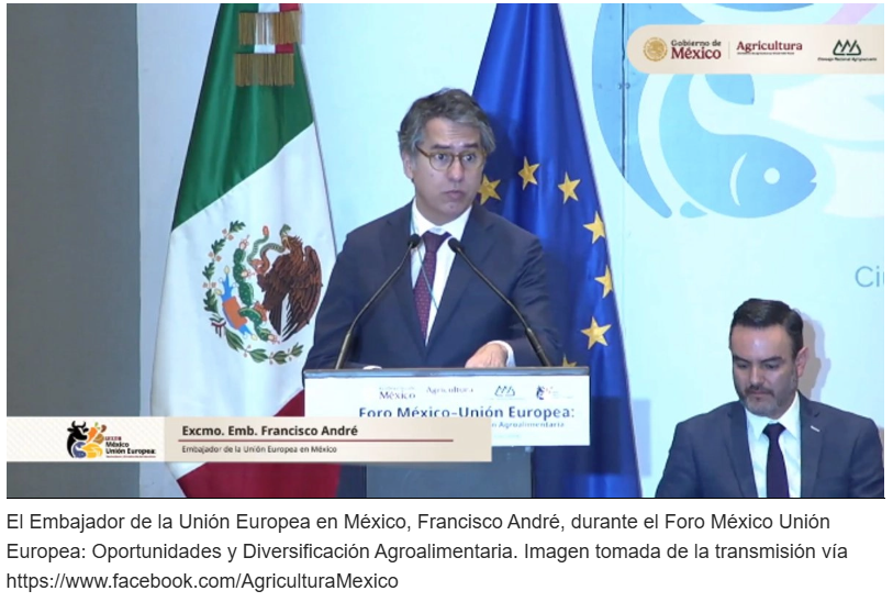 Canal-de-distribucio%25CC%2581n_edited_e